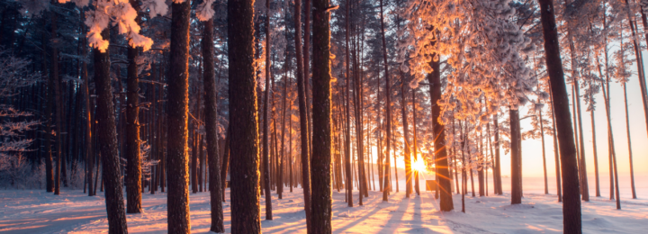 @alex_ugalek via Canva