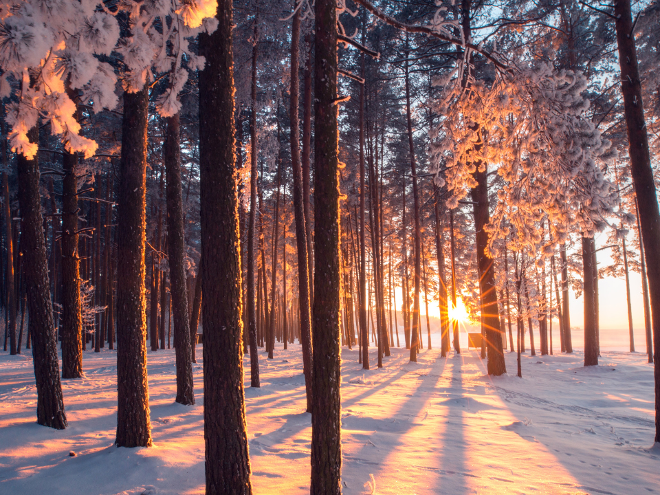 @alex_ugalek via Canva