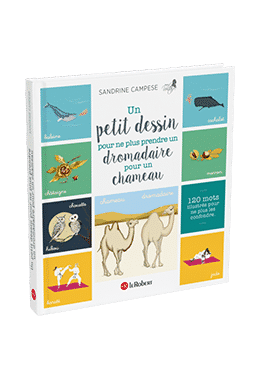 Publication Projet Voltaire