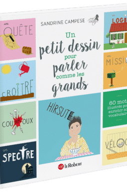 Publication Projet Voltaire