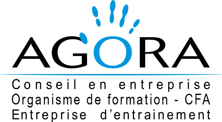 Partenaire Projet Voltaire