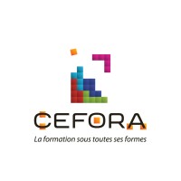Partenaire Projet Voltaire