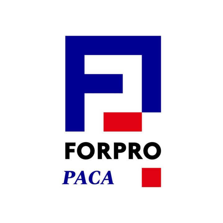 Partenaire Projet Voltaire