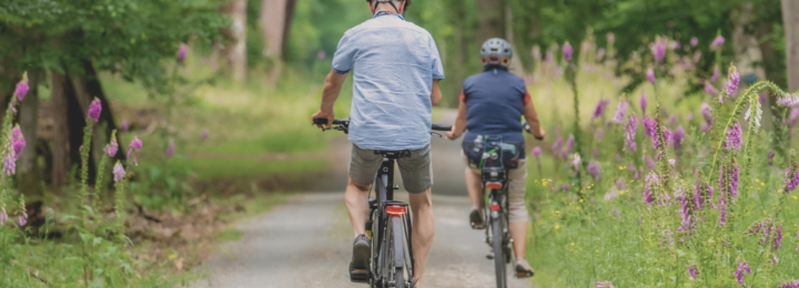 Deux personnes font du vélo en forêt.