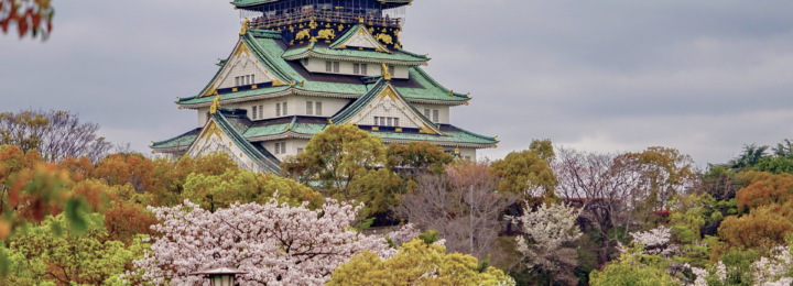 Paysage japonais fleurit et château d'Osaka.