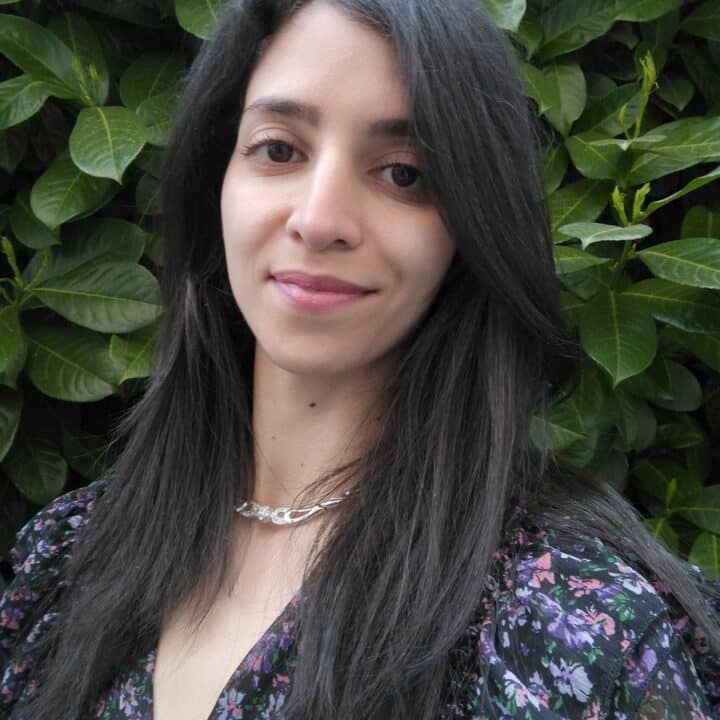 Formateur Projet Voltaire